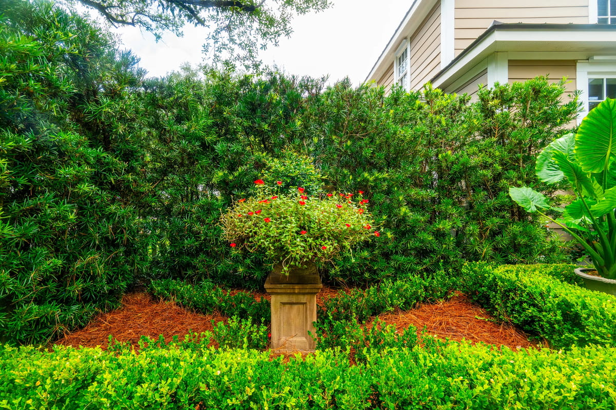 Garden with ornamental planter, red flowers, and green shrubs surrounded by mulch.