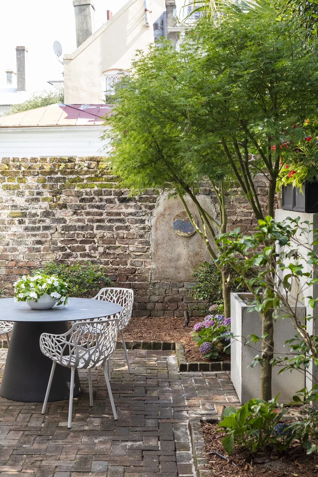 Historic Charleston Modern Image 31