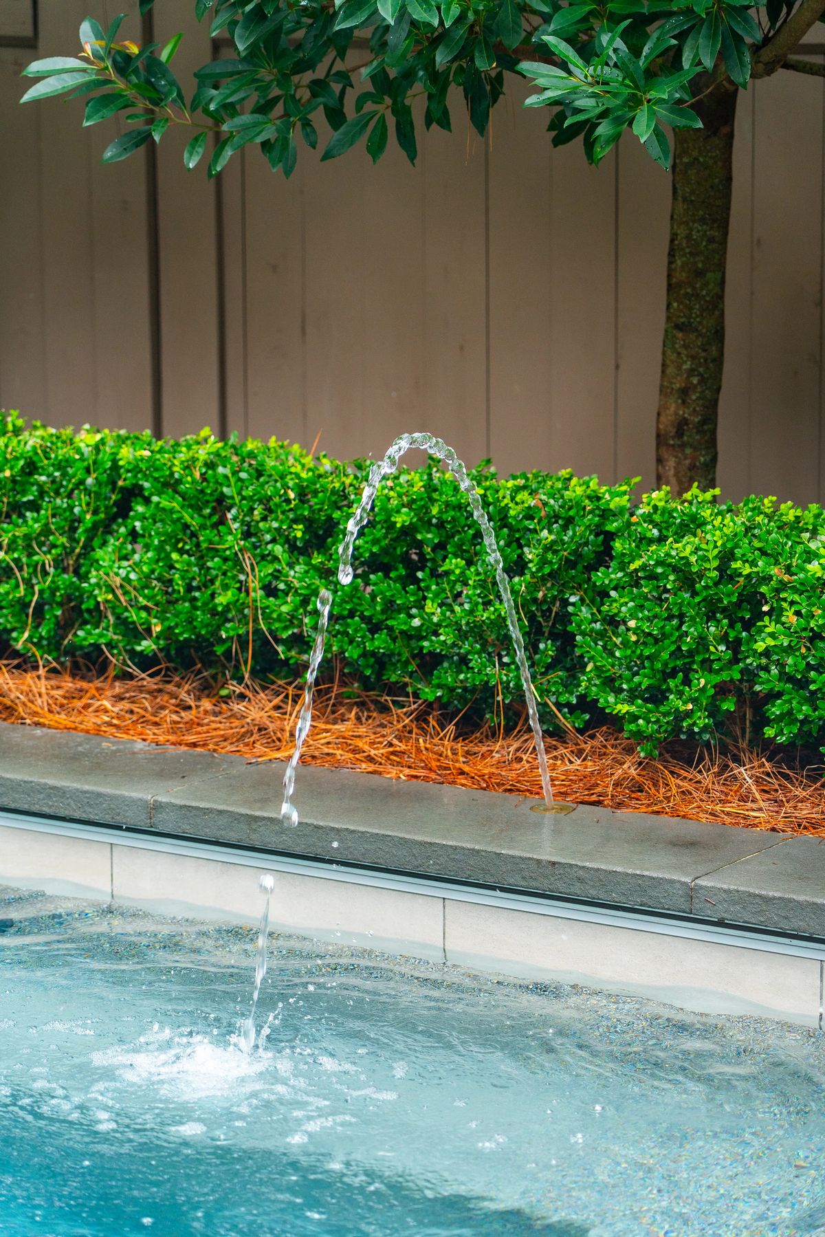 Garden with a water fountain, manicured bushes, and pine straw mulch.