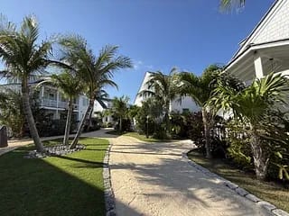 Garden pathway with sandy path, palm trees, and lush green landscaping