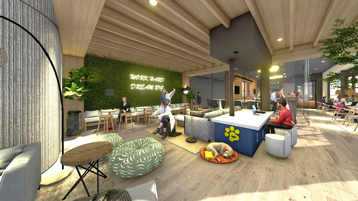 Living room with various seating, blue table, green wall, wooden ceiling, and a dog resting on a cushion.