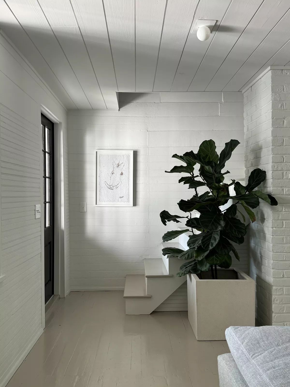 Space with white walls, fiddle leaf fig in planter, white stairs, and black door with glass panels