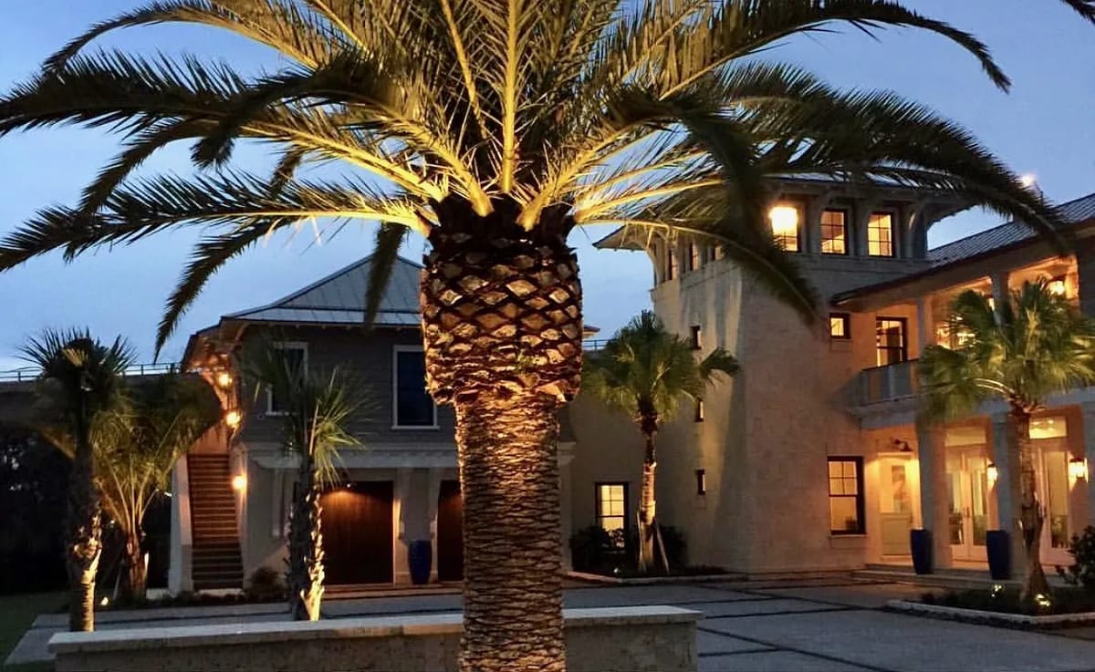 Exterior front view with palm trees, stone pathway, and multi-story modern house architecture.