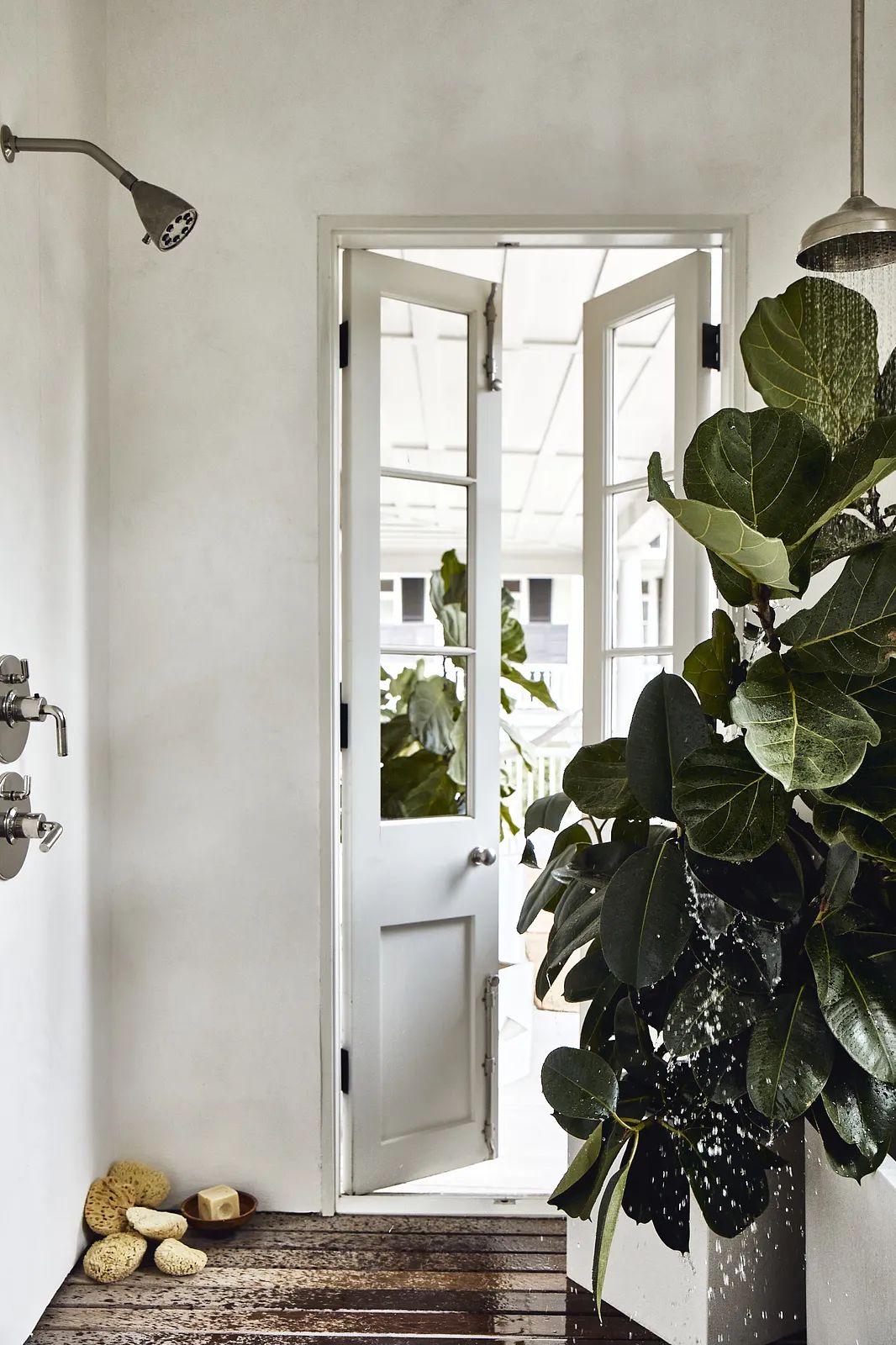 Mudroom with white walls, wooden floor, outside door, large plant, sponges, and wall-mounted storage fixtures.
