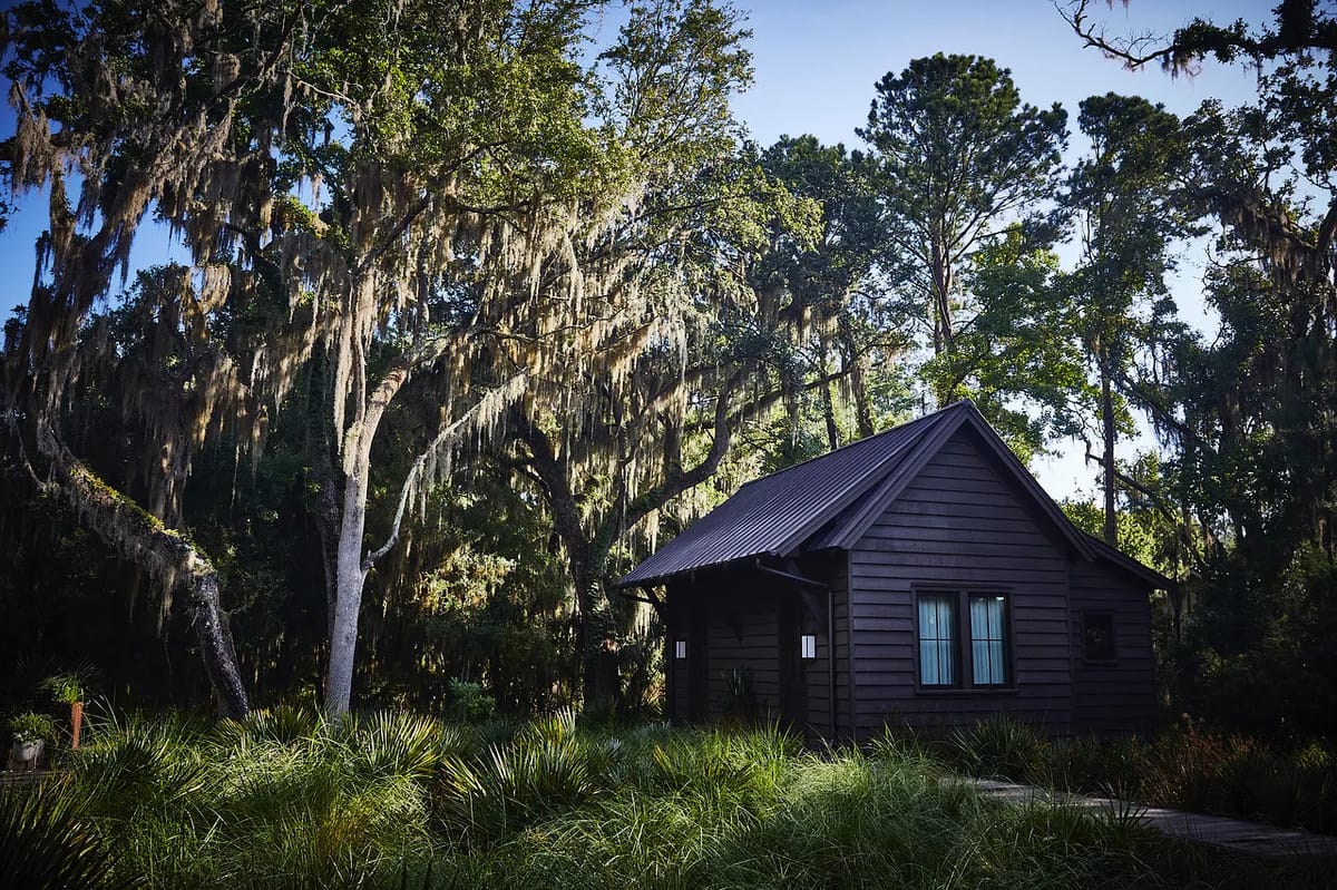Exterior of a small brown wooden house with metal roof and greenery, surrounded by trees and Spanish moss.