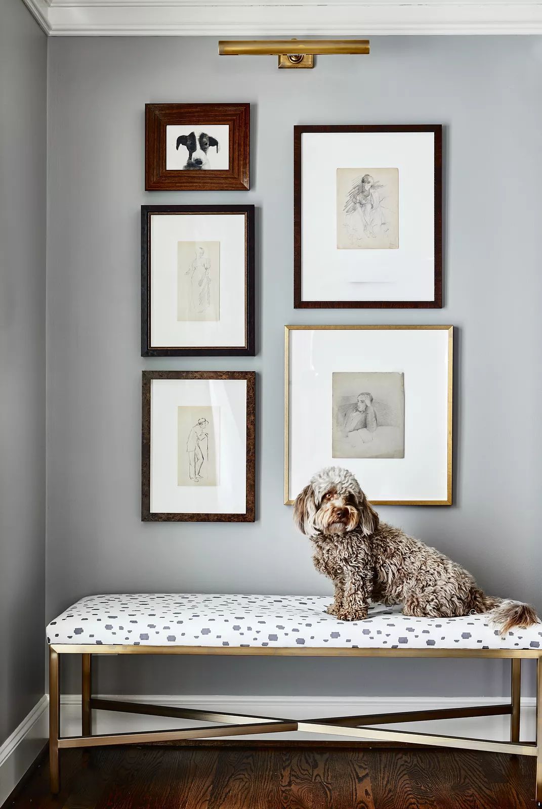 Wall with framed art and a bench covered in white fabric with gray polka dots, with a dog seated on it.