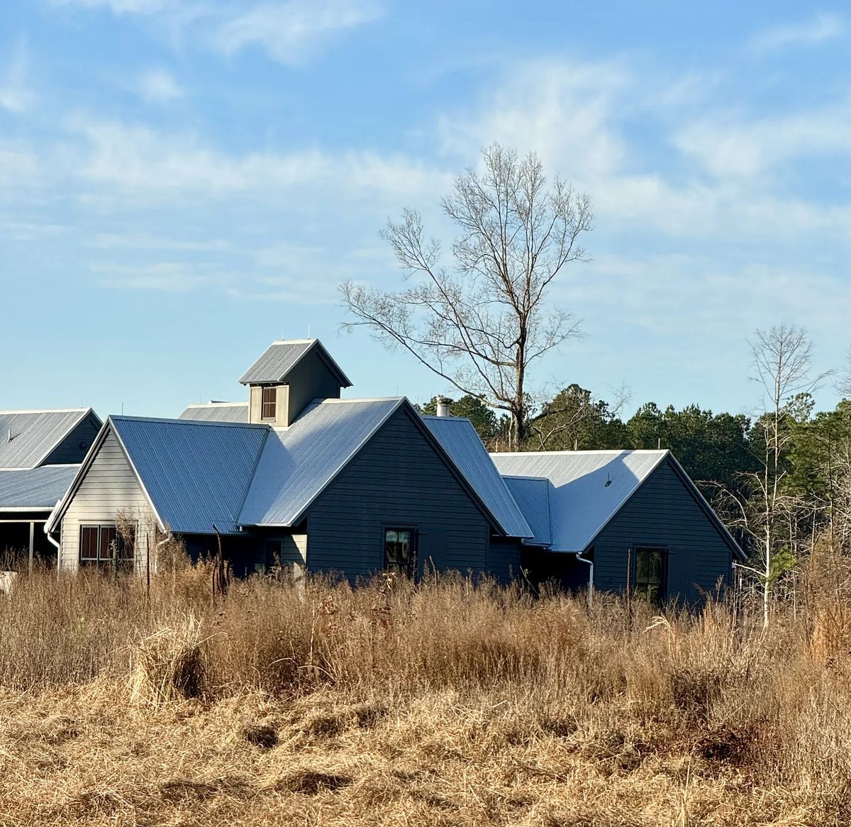 Rear view of house with metal roof, dark gray siding, and tower structure in overgrown grass.