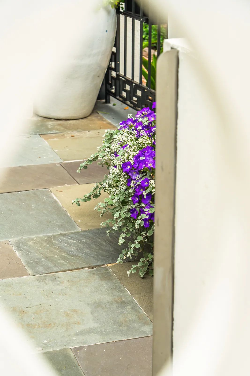Garden area with stone floor, purple flowers, and greenery in a pot visible through an archway.