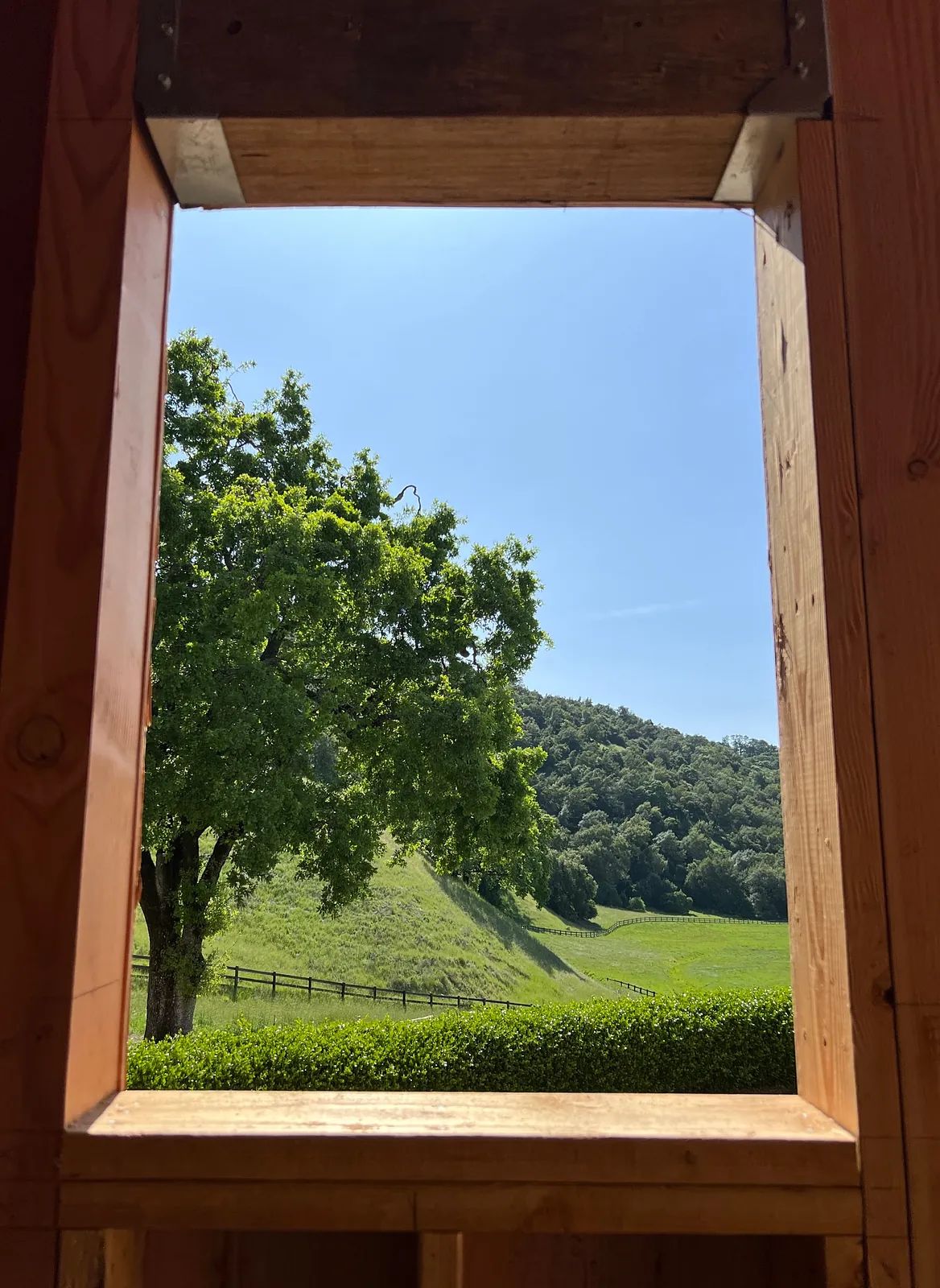Wooden frame window view of green hillside, tree, and blue sky