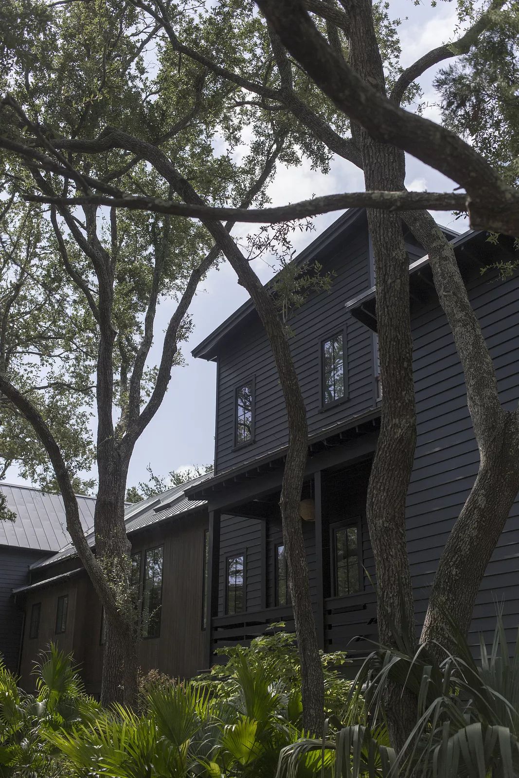 Exterior view of a house with dark wood siding, multiple windows, and surrounded by trees and shrubs.