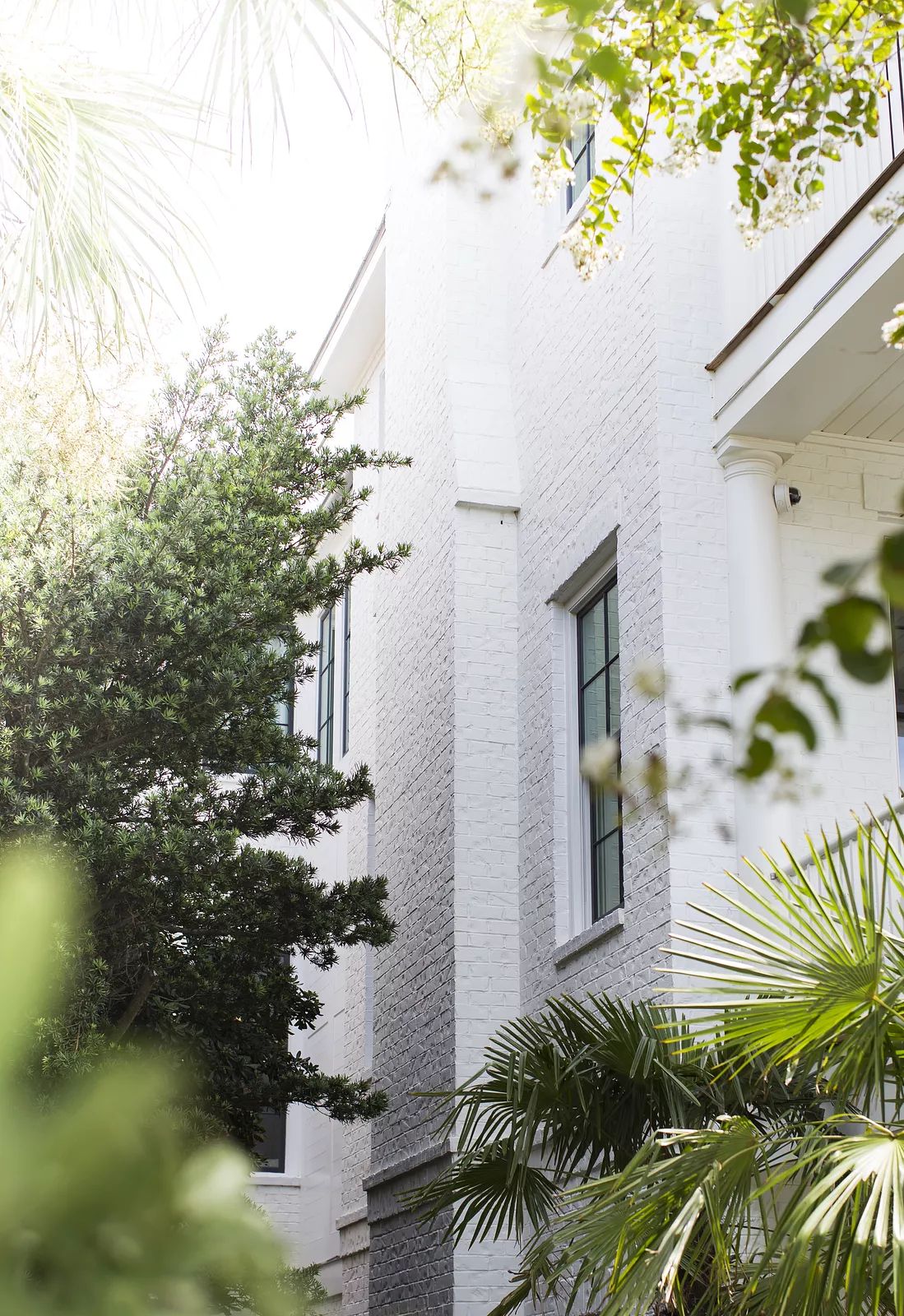 Exterior front view with white brick wall, large windows, and surrounding palm trees and shrubs.
