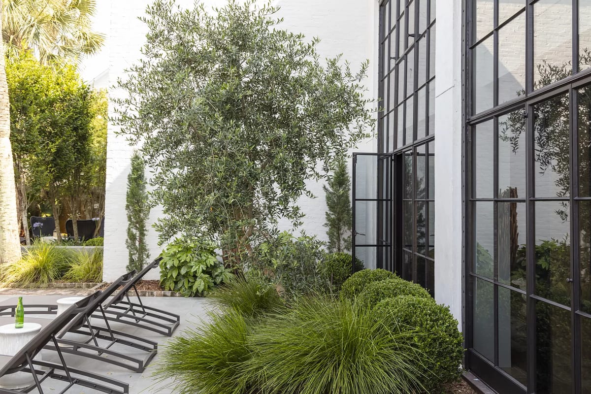 Historic Charleston Modern Image 30