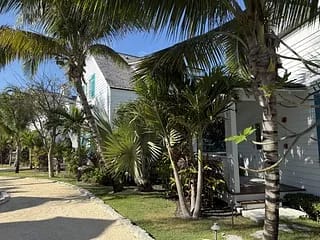 Exterior front with a white house, green shutters, palm trees, and a gravel path.