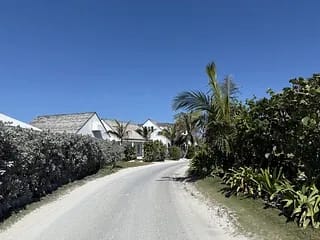 Exterior view of a pathway lined with shrubs and palm trees, leading to buildings under a clear blue sky.