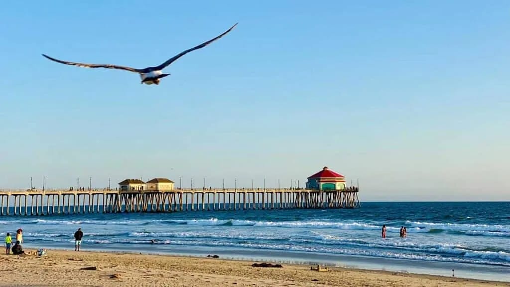 Beach scene with sandy shore, pier, surfers, and people enjoying the outdoors.