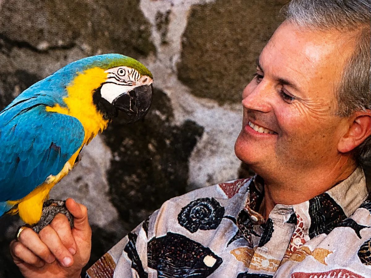 Man holding a parrot against a stone wall background.