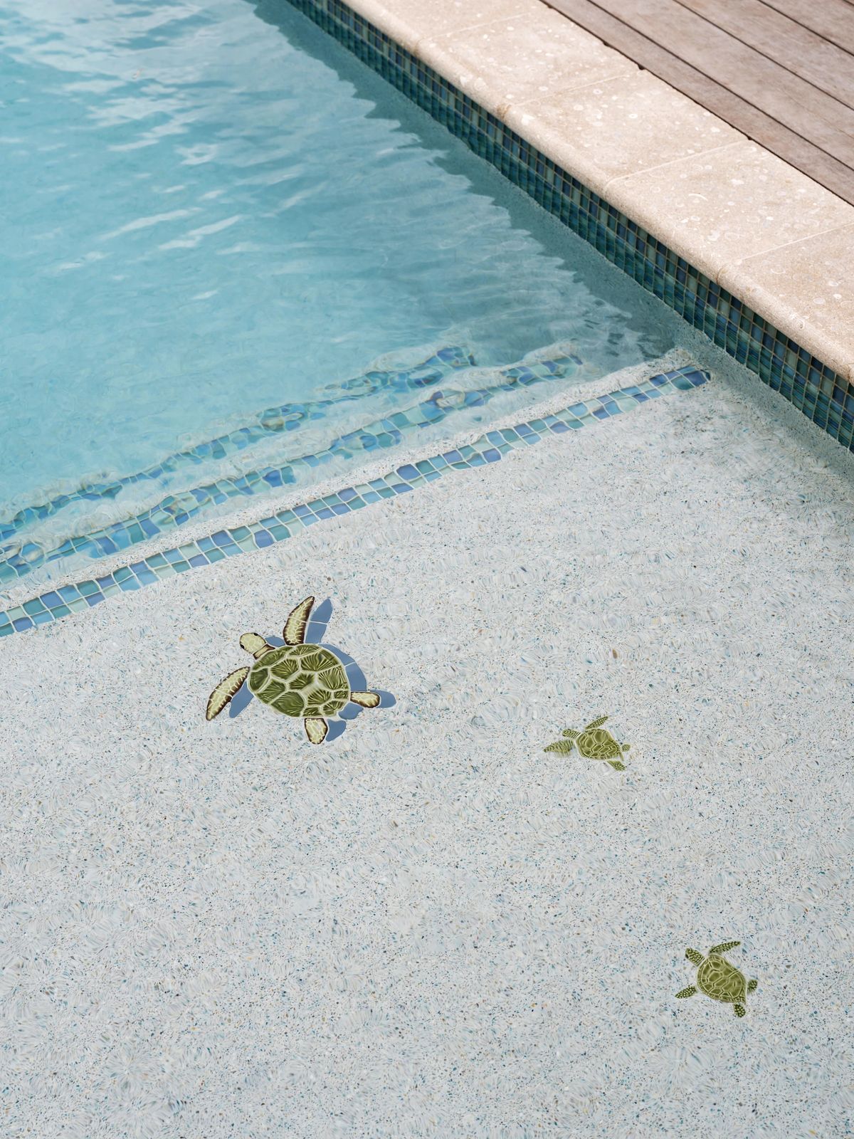 Swimming pool area with turtle mosaics and clear blue water surrounded by a stone border.