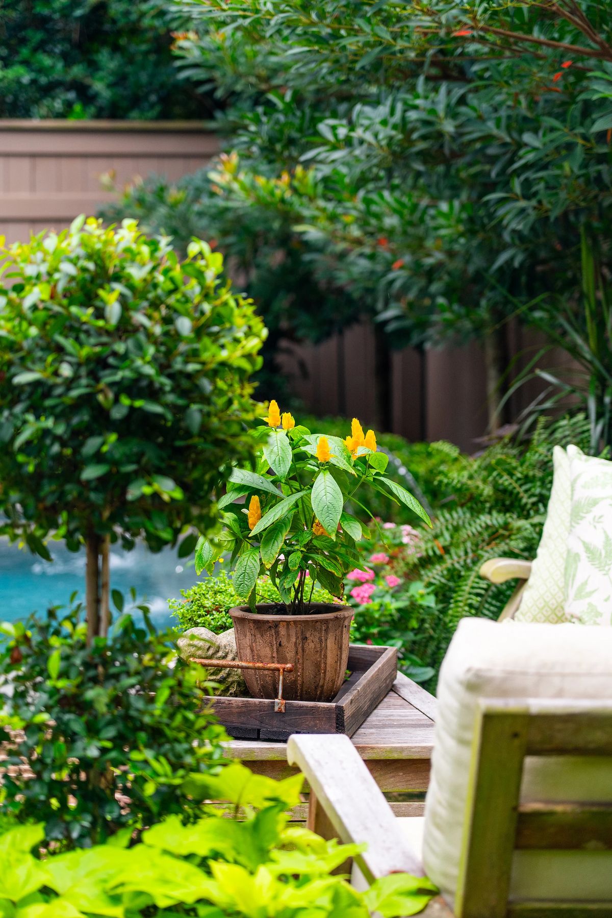 Garden area with wooden bench, green cushions, potted plants, and lush greenery surrounding a pool.