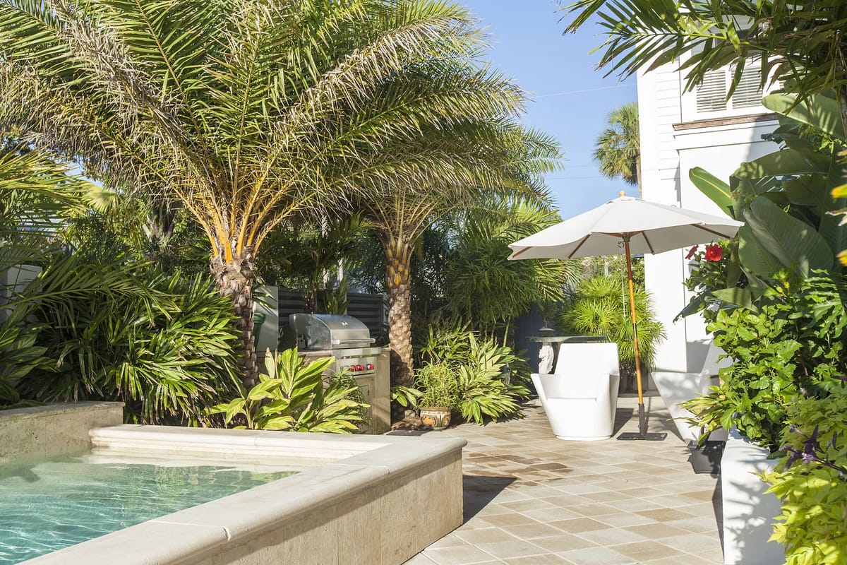 Garden with swimming pool, palm trees, plants, lounge chair, and umbrella on a stone patio.