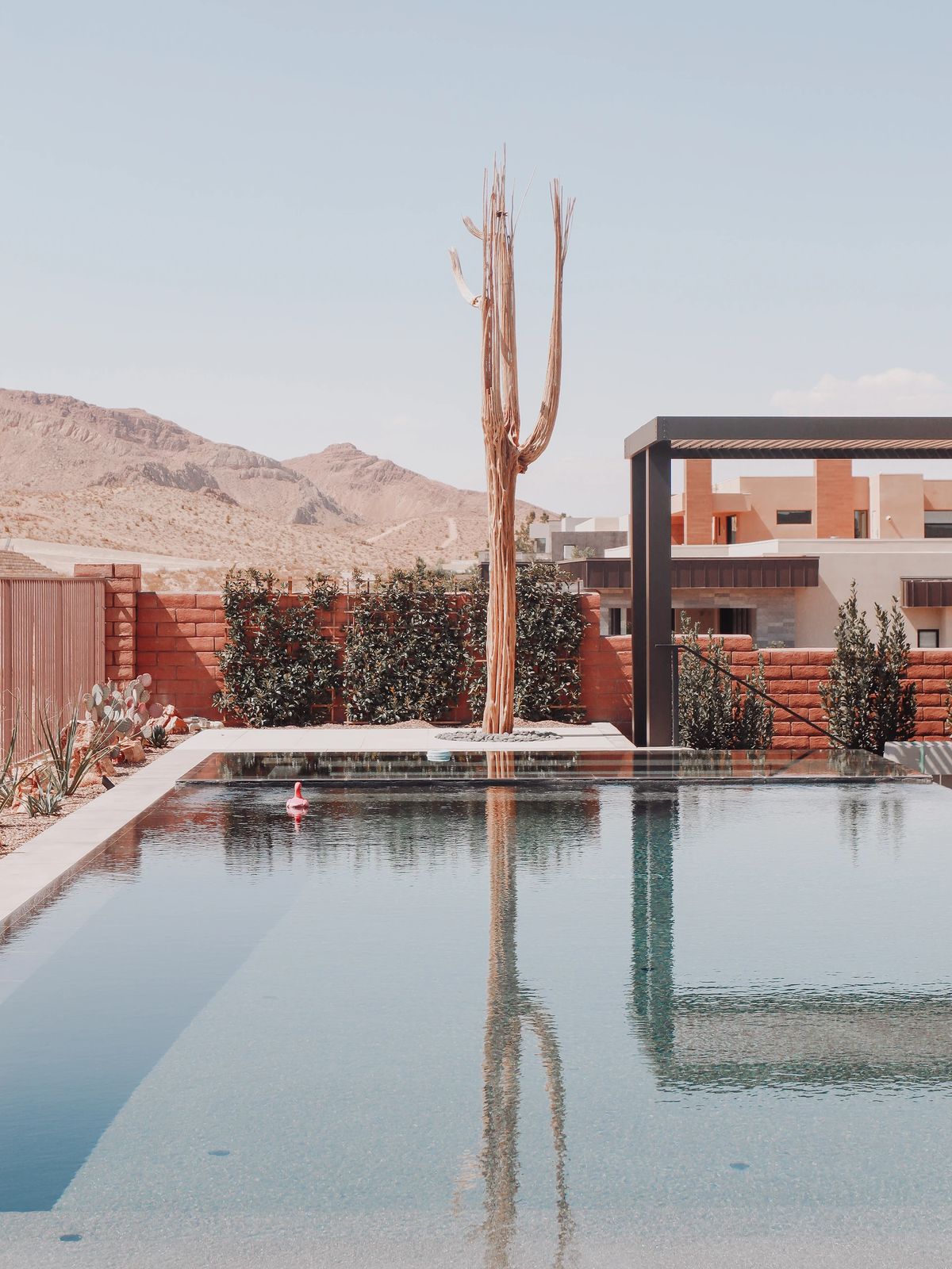 Outdoor garden with swimming pool, stone patio, cacti, and residential buildings in the background.