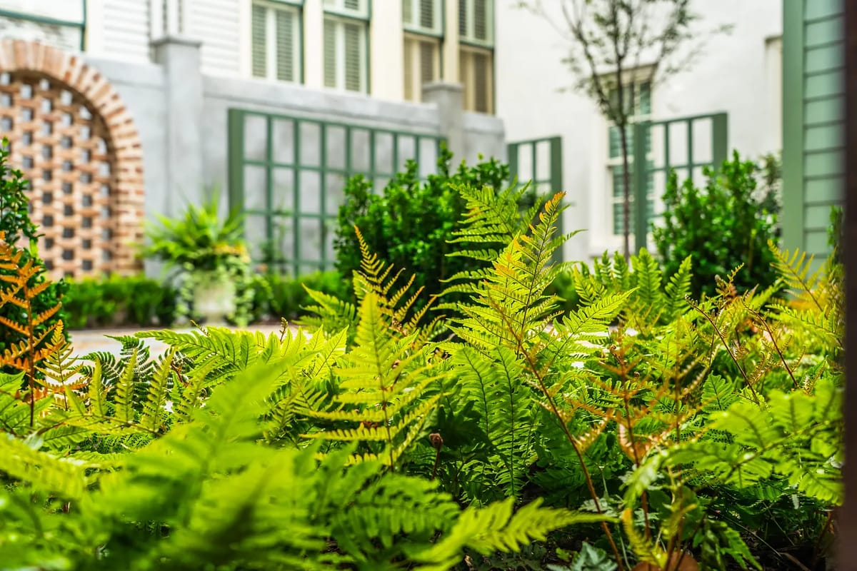 Garden with ferns, green plants, and brick wall details.