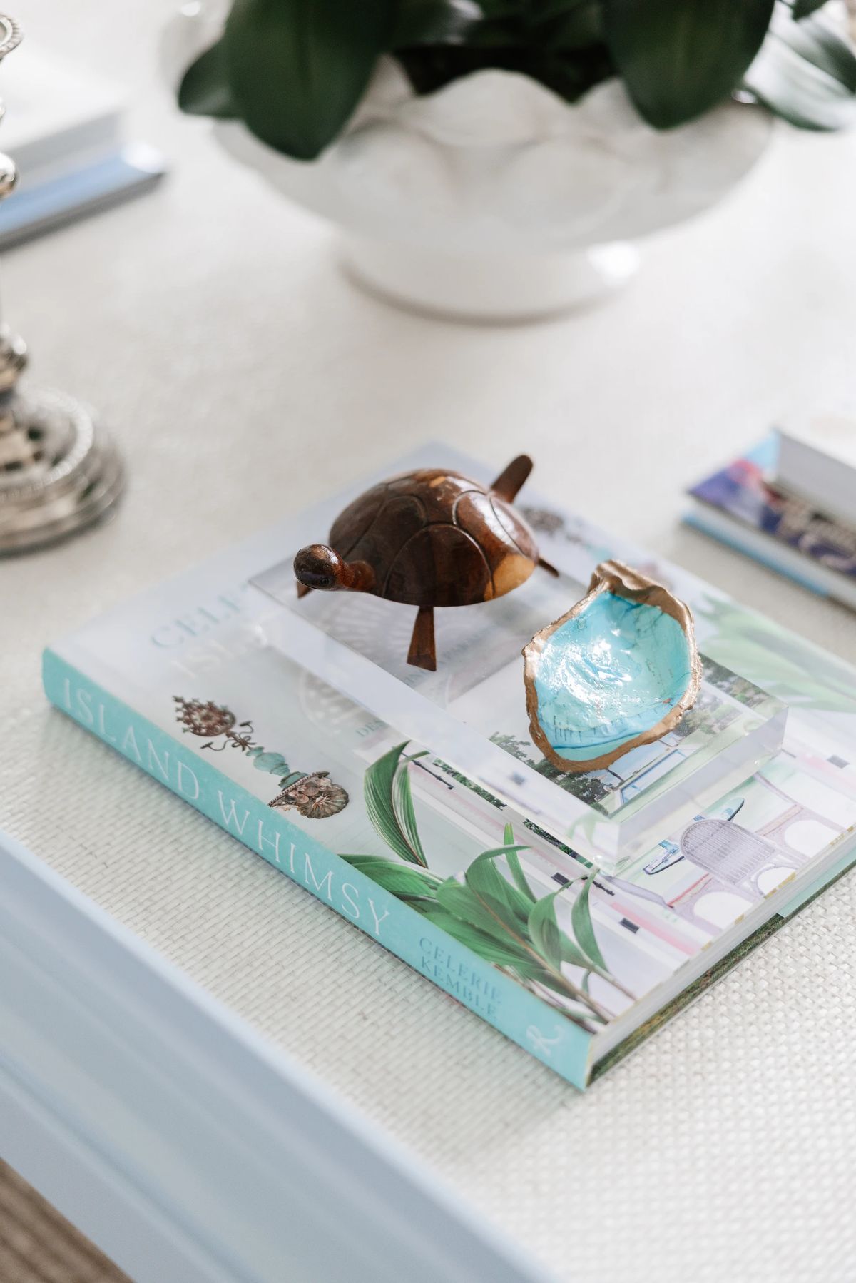 Tabletop scene with book, wooden turtle, blue shell, and green foliage in a white pot.