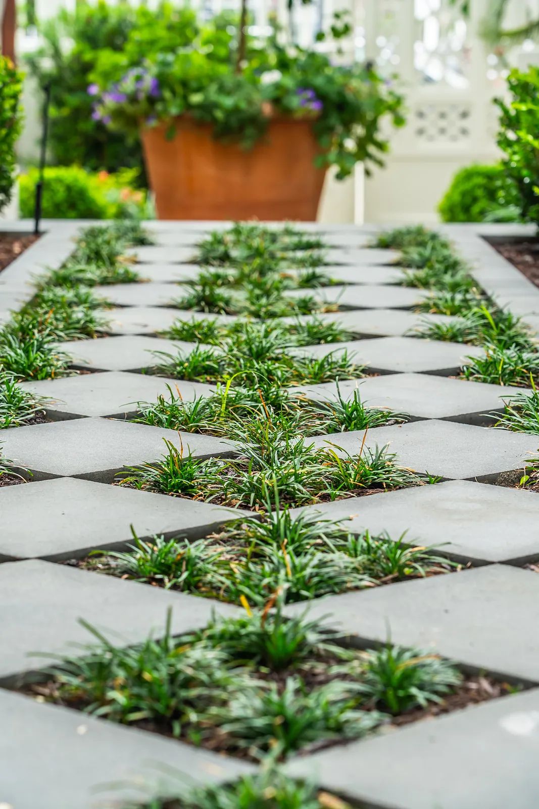 Garden pathway with gray stone pavers and grass, surrounded by trimmed plants and flowers.