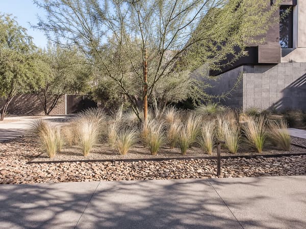 Front Yard Landscape Ideas