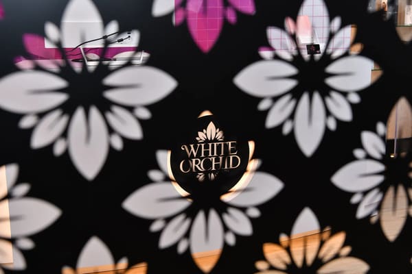 White Orchid