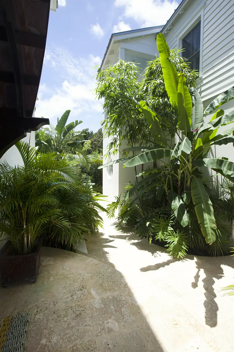 Garden area with a stone pathway surrounded by tropical plants and white walls.