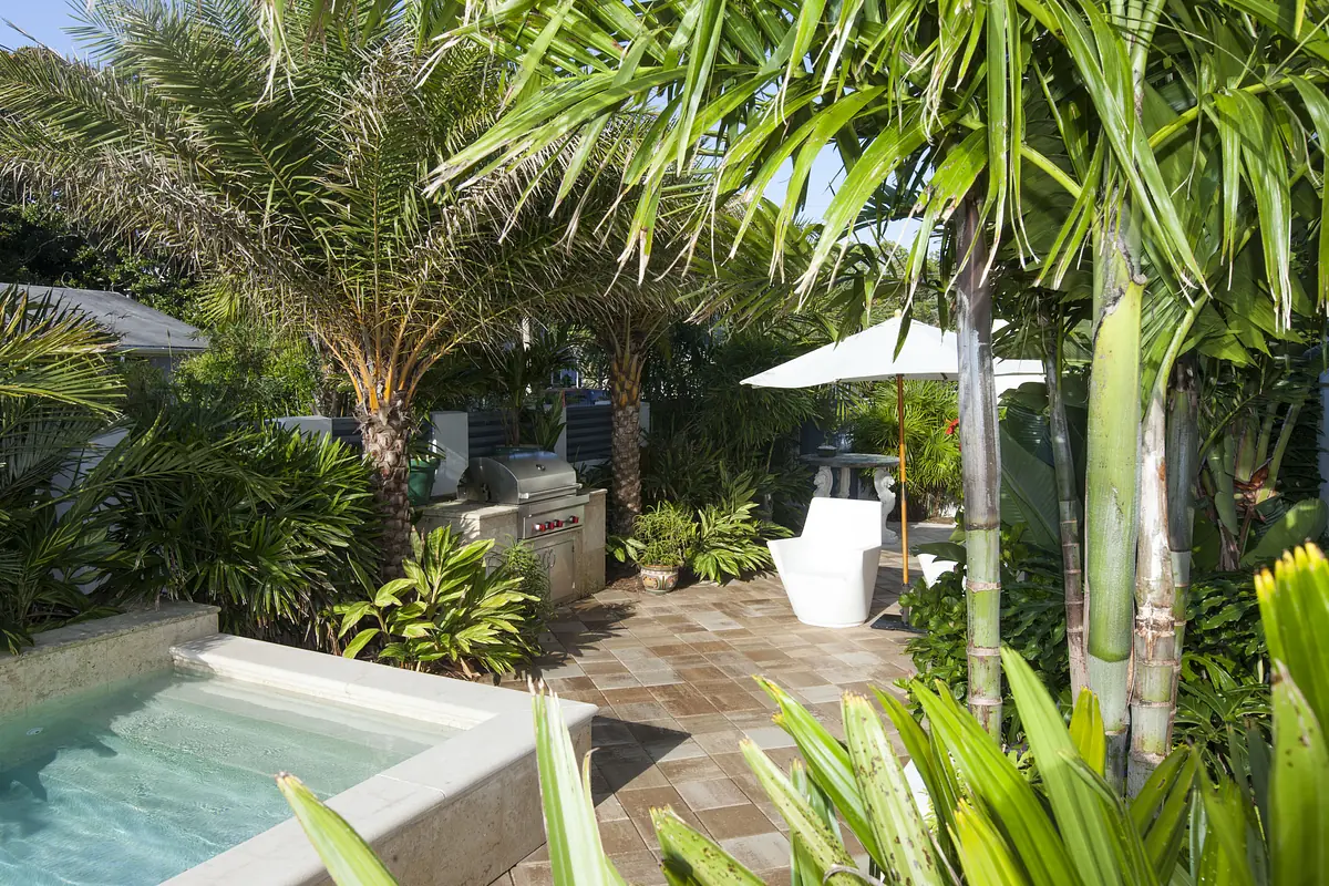 Garden with hot tub, outdoor grill, white chair, and palm trees surrounded by green plants.