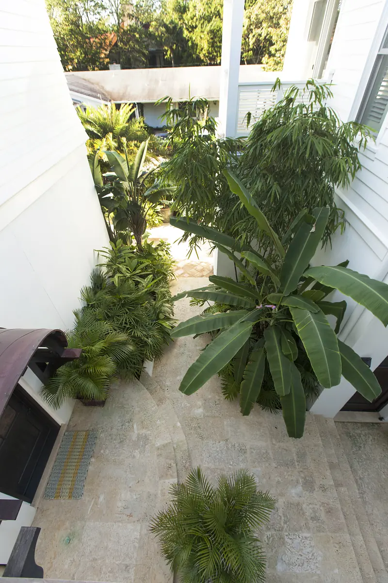 Garden area with paved pathway and various tropical plants and trees.