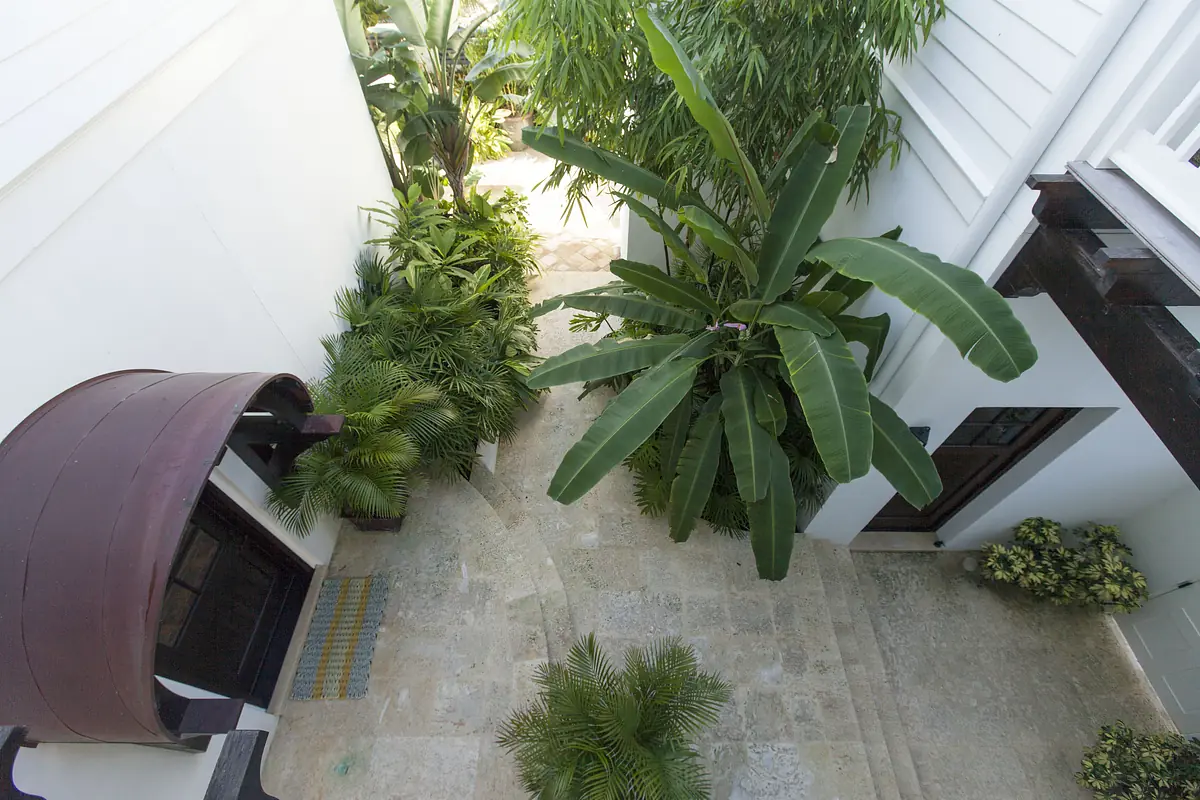 Outdoor garden with stone pathway surrounded by tropical plants and trees leading to a building entrance.