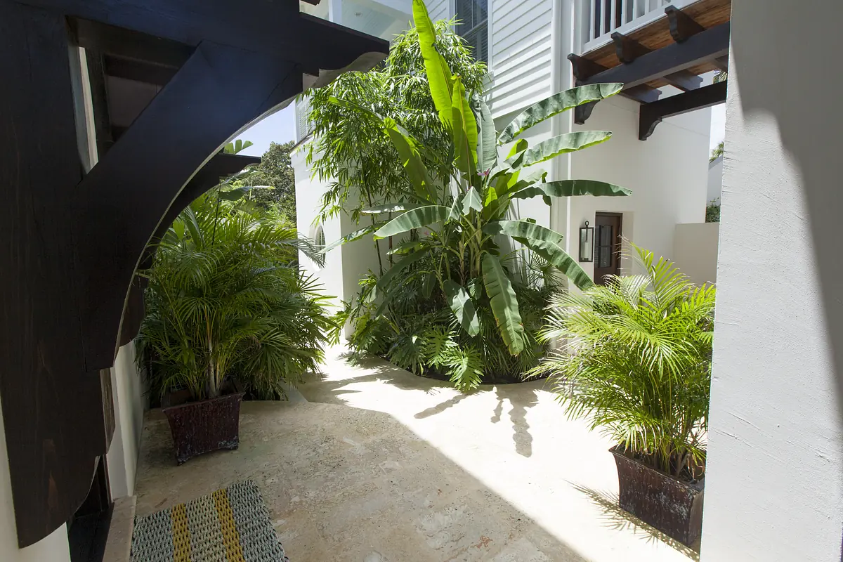 Outdoor space with concrete floor and planters featuring lush green plants, banana and palm varieties.