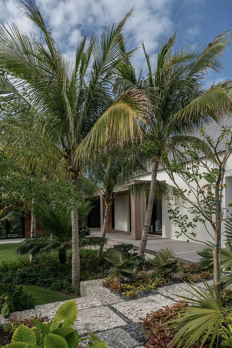 Exterior front view with palm trees, tropical plants, pebbled pathway, and wooden accent building.