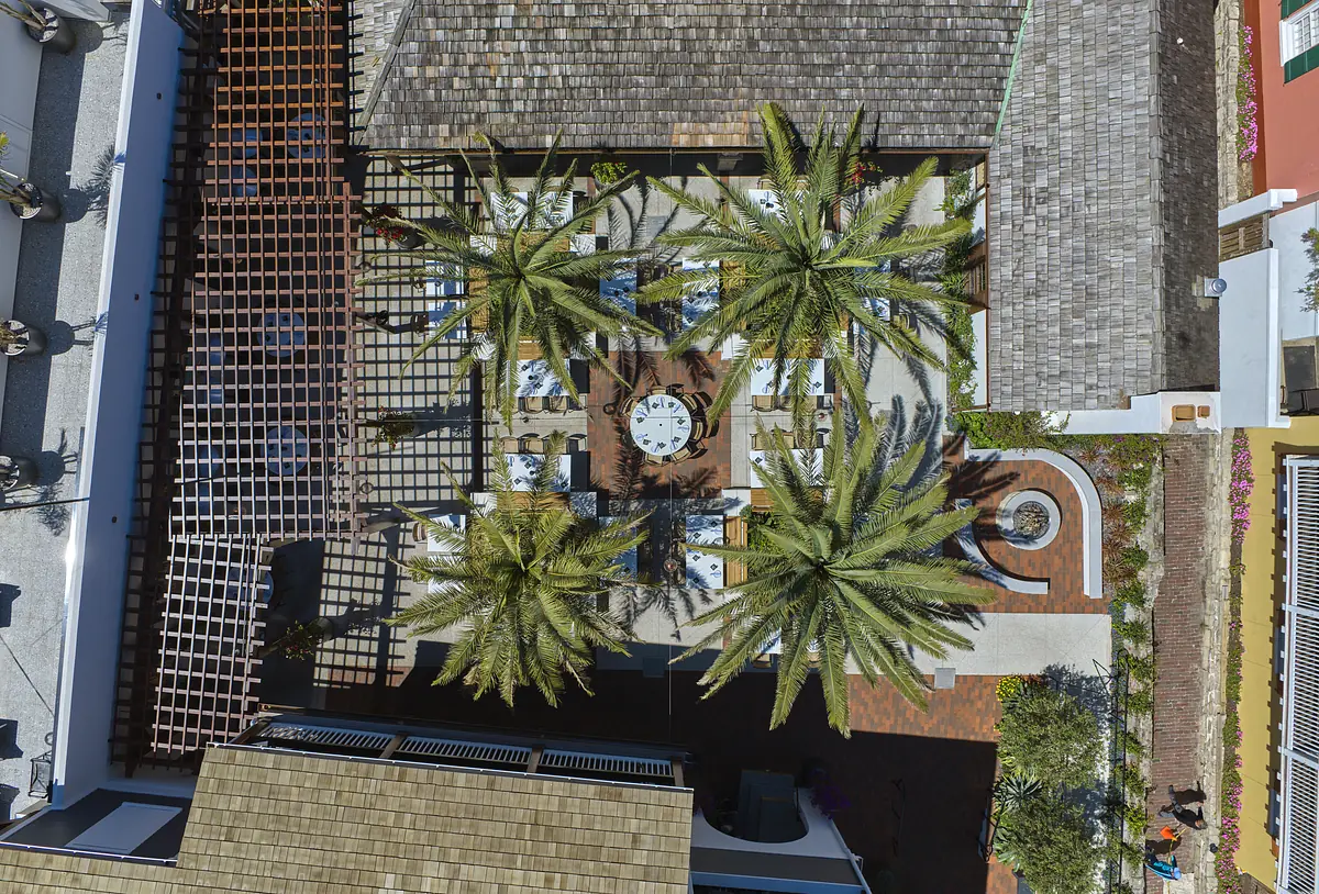 Outdoor patio with circular table, chairs, potted palms, and raised greenery.