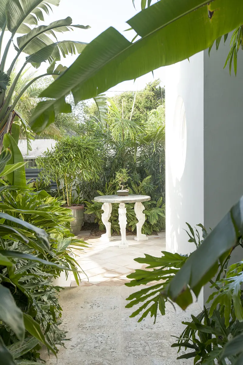 Garden with stone table surrounded by green plants and palm leaves, with a stone pathway.
