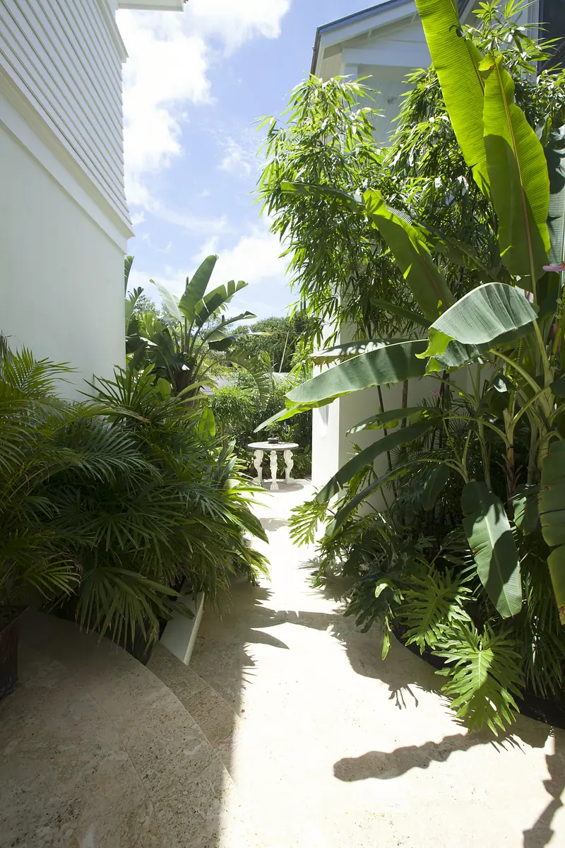 Garden pathway lined with tropical plants and stone pavement leading to an opening.