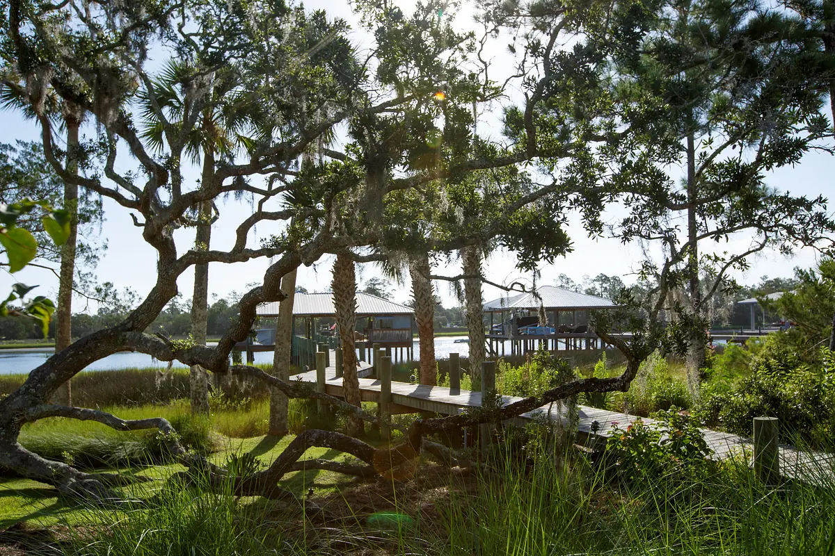 Garden with wooden boardwalk, structures above water, and lush greenery including palm trees.