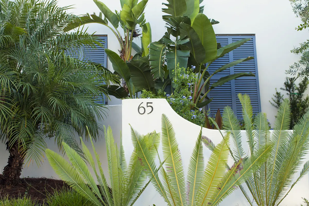 Exterior front view with white wall, blue shutters, address plaque, and tropical plants.