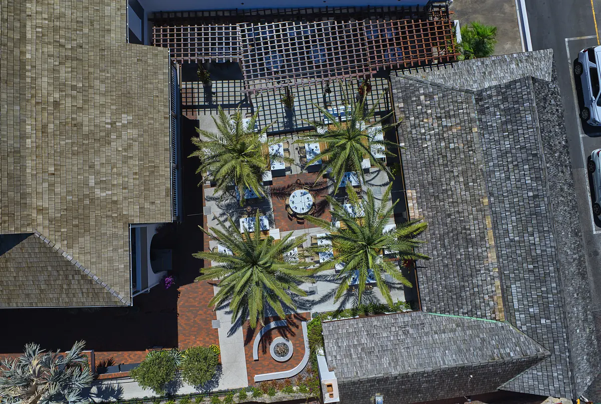 Patio with dining tables, chairs, palm trees, circular stone path, and ornamental plants.