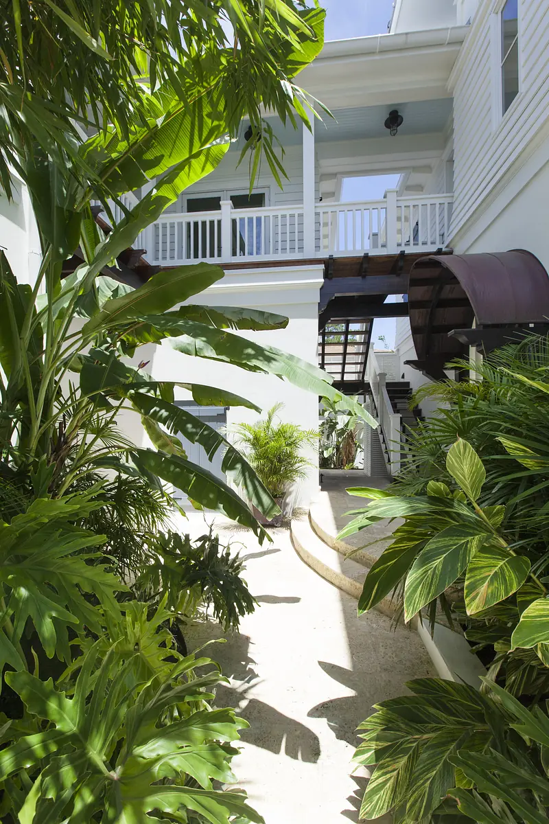 Garden area with tropical plants, pathway, staircase, and wooden bridge surrounded by greenery.