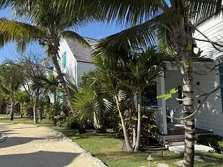 Exterior front with a white house, green shutters, palm trees, and a gravel path.