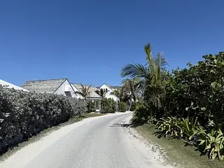Exterior view of a pathway lined with shrubs and palm trees, leading to buildings under a clear blue sky.
