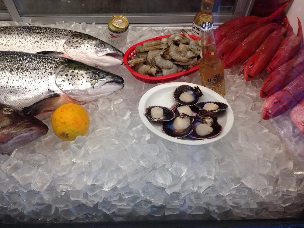 Seafood display on ice featuring fish, shrimp, shellfish, and drinks.