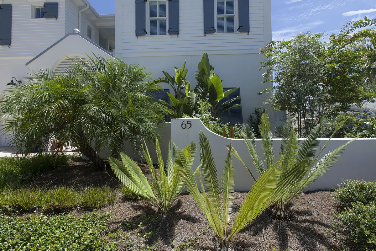 Garden with tropical plants, palm trees, ferns, and a low white wall.