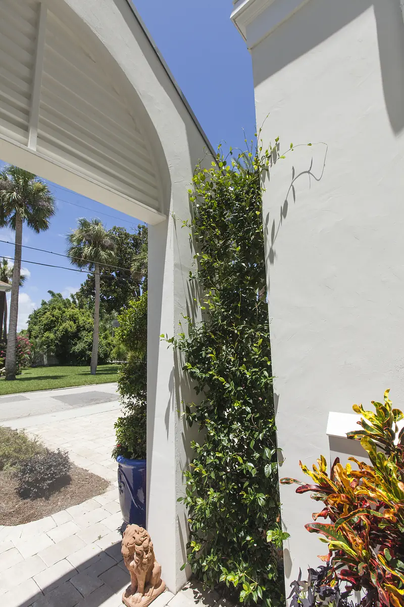 Exterior front view with a white building facade, archway, climbing plants, and stone pavers.
