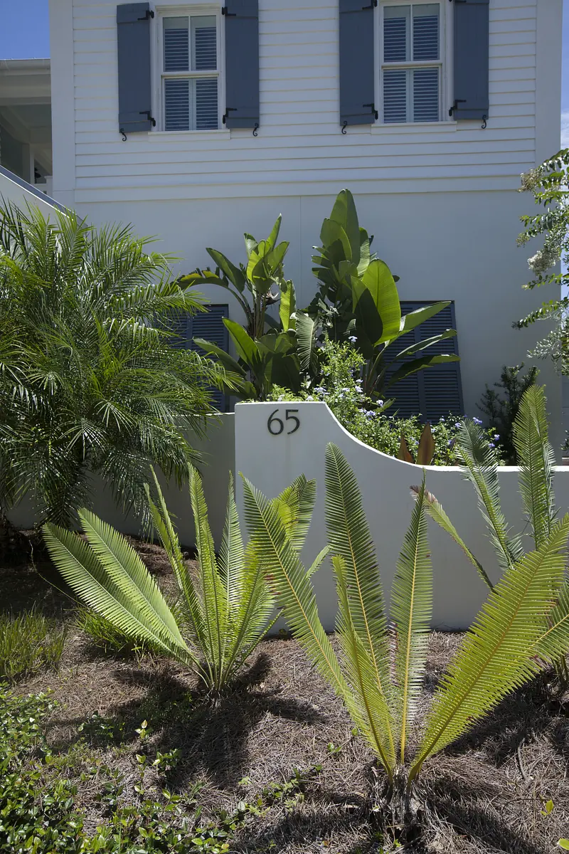 Exterior front view with white wall, house number '65', blue shutters, and green plants.