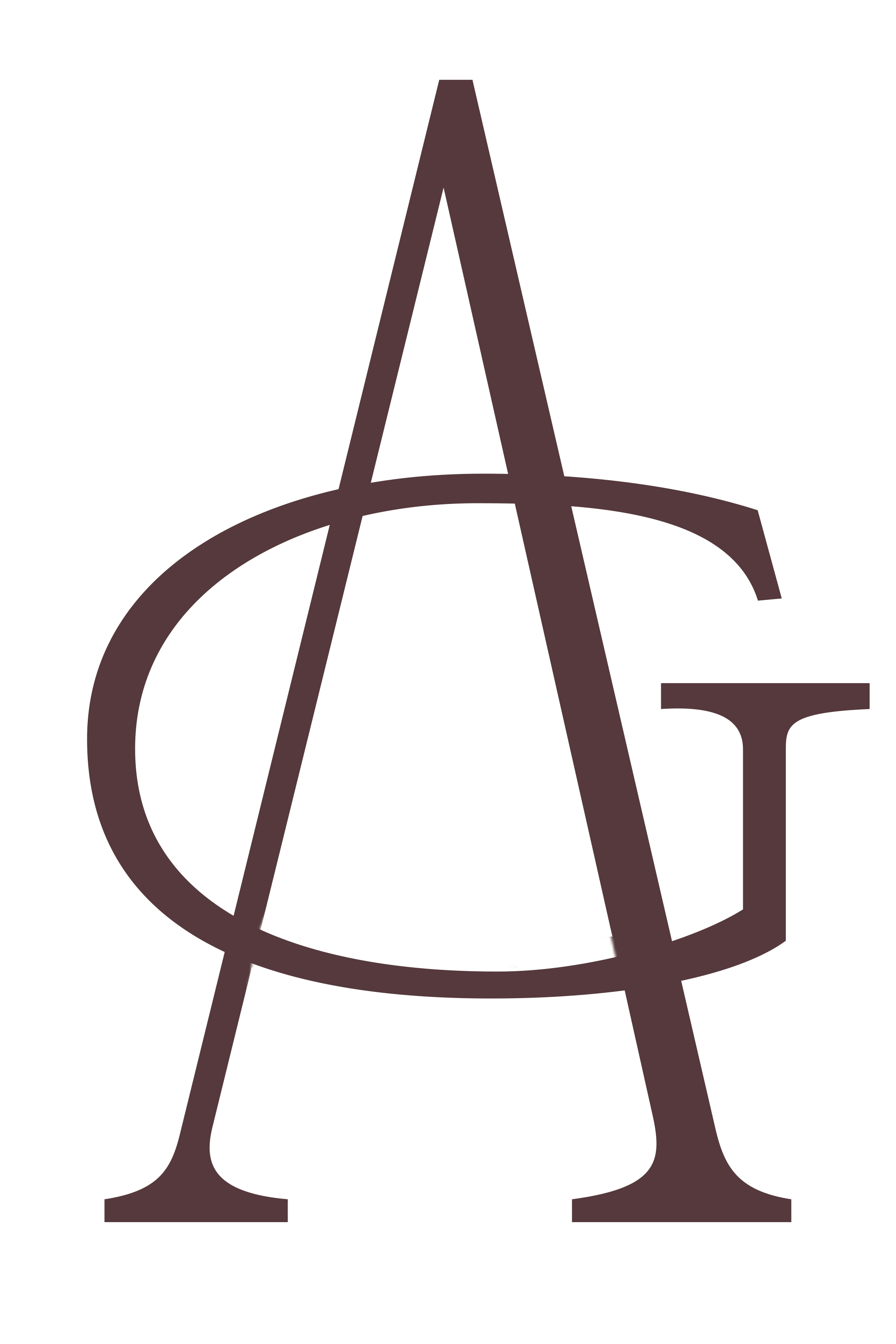 Annie Gallagher Interiors